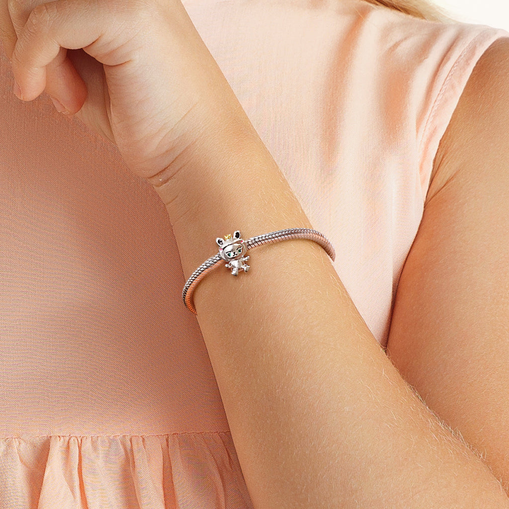 Gnoce Friendly Frog Animal Charm Platinum-plated Silver Blend_5
