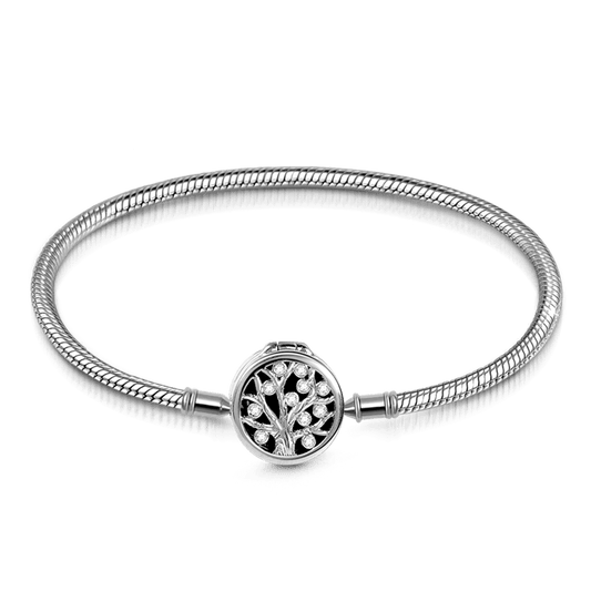 Gnoce "My Family, My Life" Essential Oil Diffuser Bracelet Aromatherapy S925 Sterling Silver Jewelry Fit for charms_1