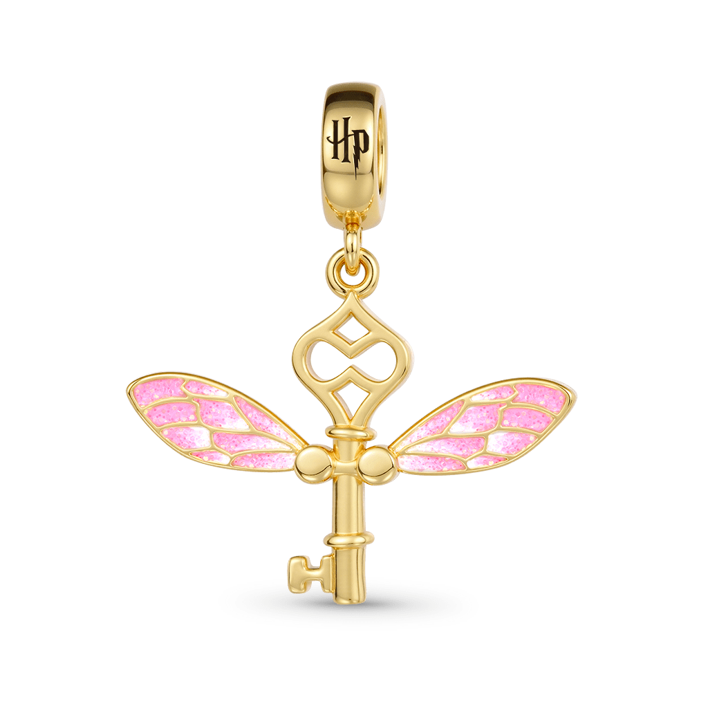 Gnoce Harry Potter Winged Key Charm_2