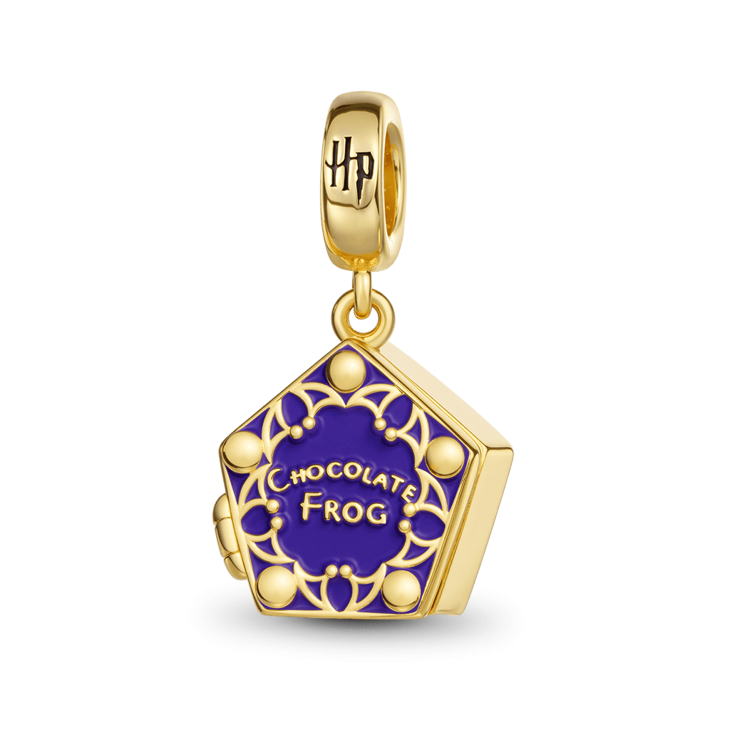 Gnoce Harry Potter Chocolate Frog Charm_2