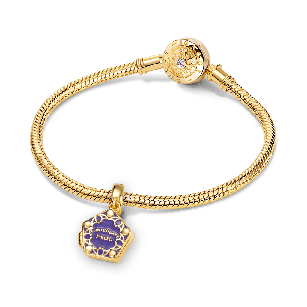 Gnoce Harry Potter Chocolate Frog Charm_4