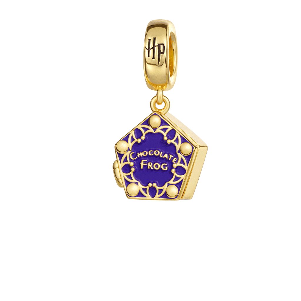 Gnoce Harry Potter Chocolate Frog Charm_1